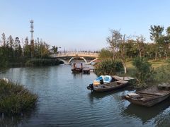 -上海长兴岛郊野公园