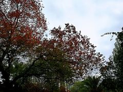 -苏州河梦清园环保主题公园