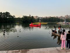 -新江湾城公园