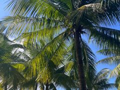 -白沙门生态公园