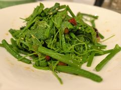 凉拌丝瓜尖-金三杯酒家(泉城路店)