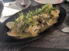 -Hi City·城市之巅