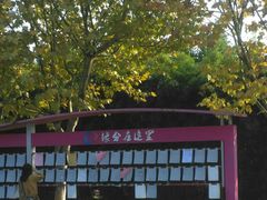 -白塘生态植物园