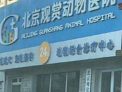 -北京观赏动物医院·24小时大型综合·猫专科·异宠专科