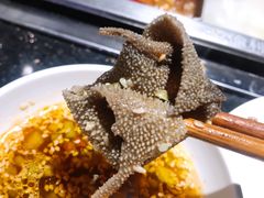 空运绿色毛肚-渝利重庆火锅