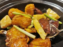 窝烧石斑鱼腩-陶陶居·雅园(凯华国际店)