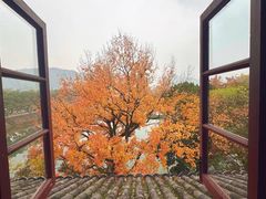 -溪口-滕头旅游景区