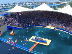 -秦皇岛乐岛海洋王国