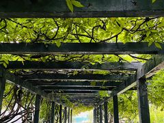 -鼎族怡华·指压·油压·经络(西单昌盛大厦店)