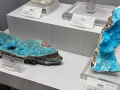 -湖南省地质博物馆