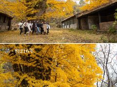 -潭柘寺景区
