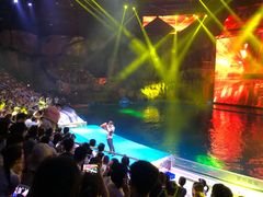 -芜湖新华联大白鲸海洋公园