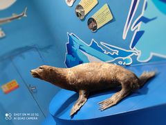 -多彩贵州城极地海洋世界