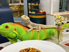 -FAIRYLAND龙族星球主题餐厅(凯丹广场店)