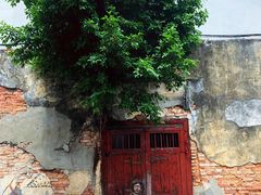 -槟城街头艺术街区