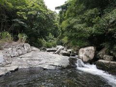 -海南热带雨林国家公园吊罗山景区