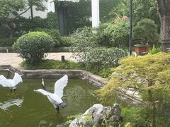 -广富林宰相府酒店·水云间
