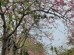 -广州市财经商贸职业学校(大坦沙校区)