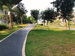 -宝安西湾红树林湿地公园