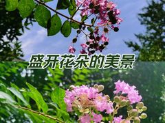 -后襄河公园