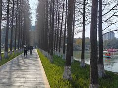 -圩墩遗址公园