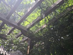 -花家怡园(四合院总店)