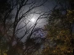 -五女山景区