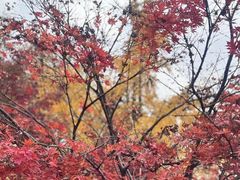 -杭州城北体育公园