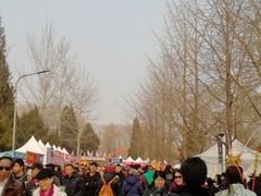 -朝阳公园游乐园