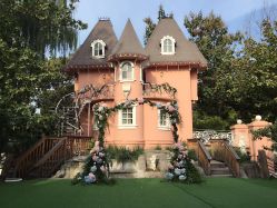 -陶然花园·婚宴