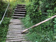 -宁波浙东大竹海景区