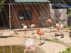 -大连老虎滩海洋公园