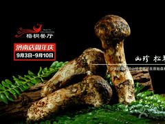 -梧桐餐厅(泉城路店)