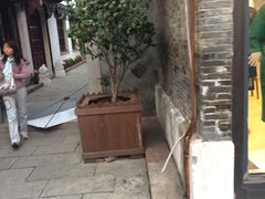 -檀园