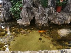 -丰圆轩粤式茶楼 . 点心粤菜(夏茅店)