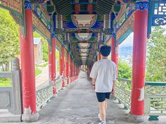 -兰山公园