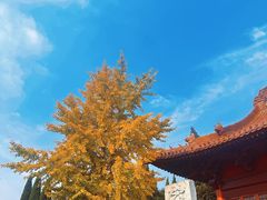 -天静宫