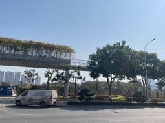 -五缘湾湿地公园