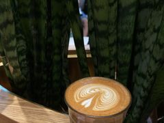 巨星澳白-Peet's Coffee皮爷咖啡(德基店)