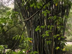 -成都杜甫草堂博物馆