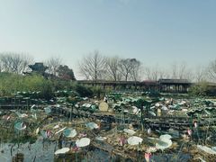 -西溪国家湿地公园