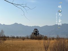 -野鸭湖国家湿地公园