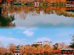 -棠湖公园