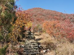 -周口店坡峰岭风景区