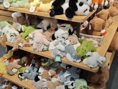 -校园传说(槐房万达广场店)