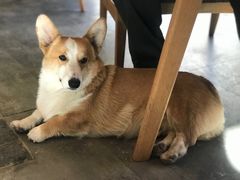 -熙古里艺术村