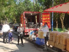 景点-火炉山森林公园