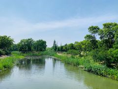 -尚贤河湿地