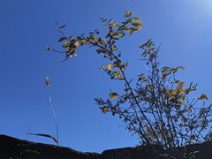 -蟠龙山长城景区