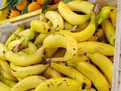 -大夫山顺驰自助烧烤场